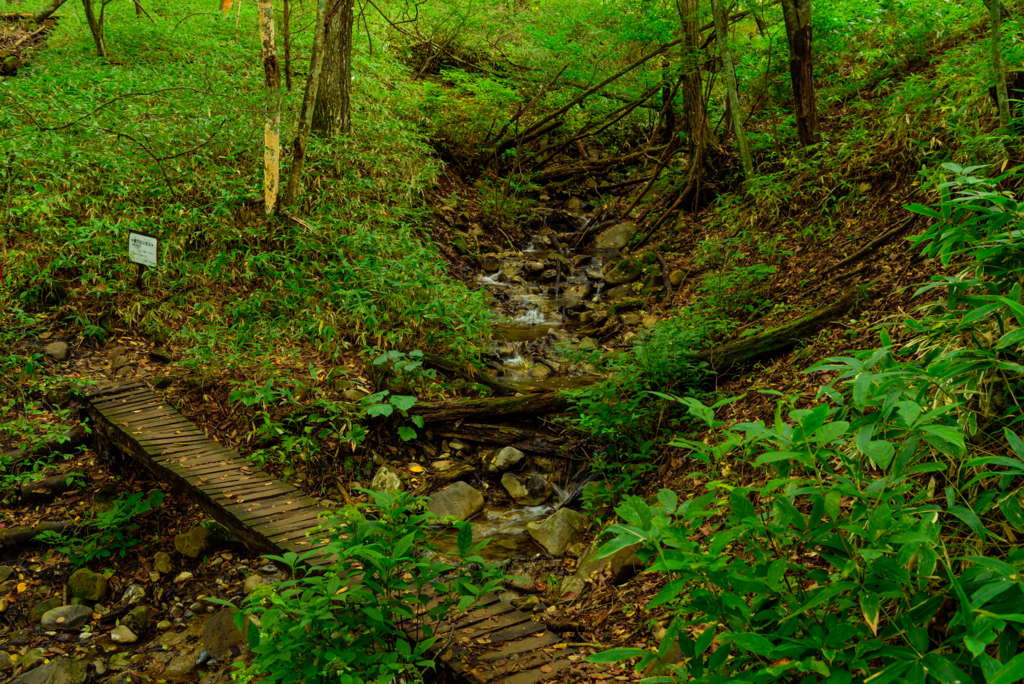 f:id:Kumamon:20161028215130j:plain