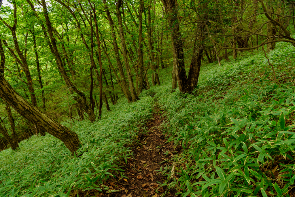 f:id:Kumamon:20161028215616j:plain