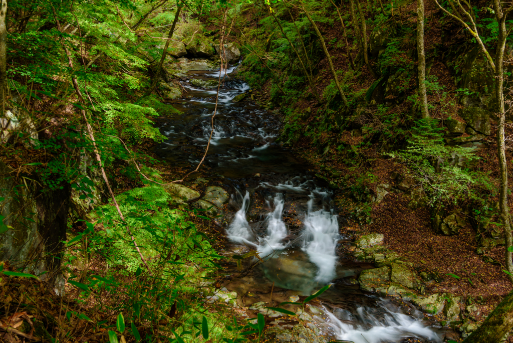 f:id:Kumamon:20161028223611j:plain