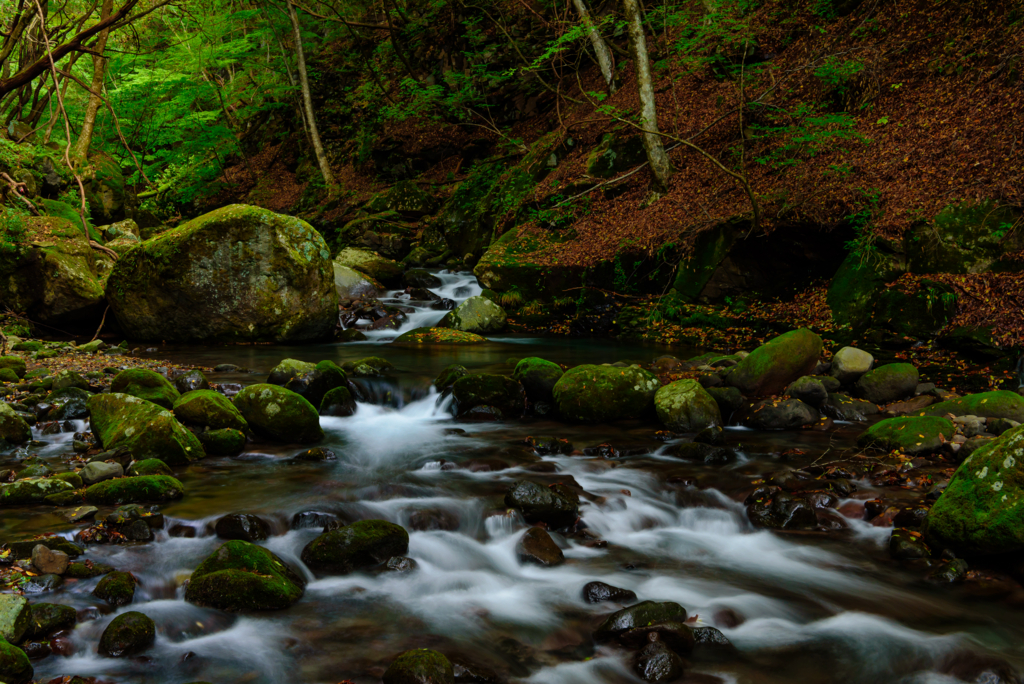 f:id:Kumamon:20161028224305j:plain