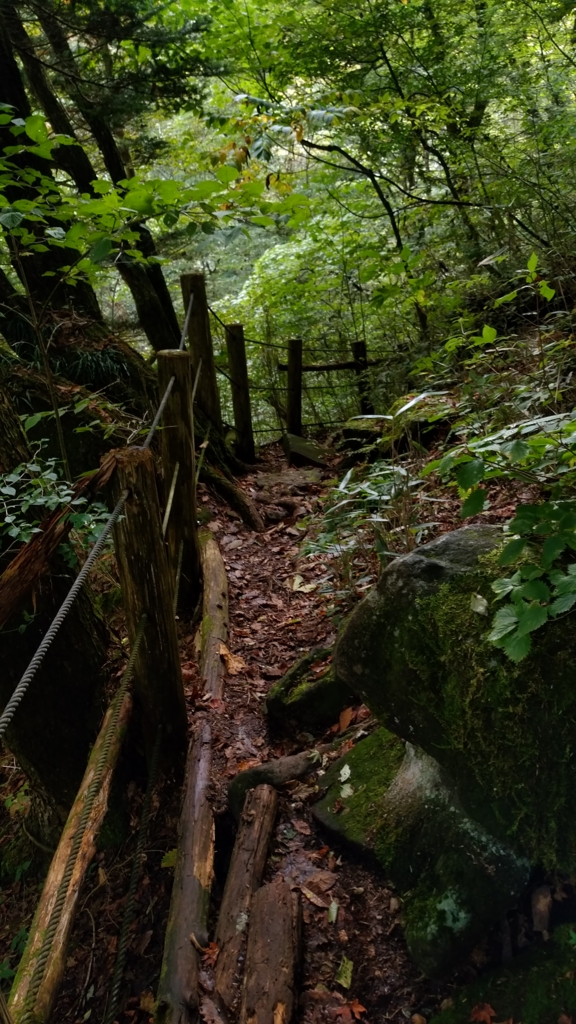 f:id:Kumamon:20161028224519j:plain