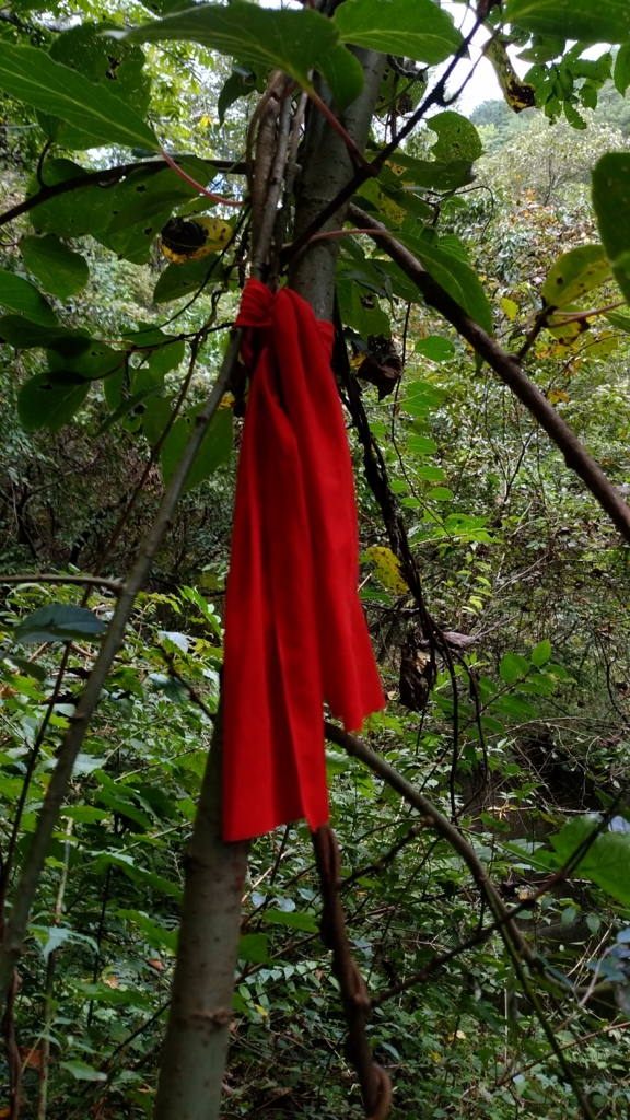 f:id:Kumamon:20161028225317j:plain