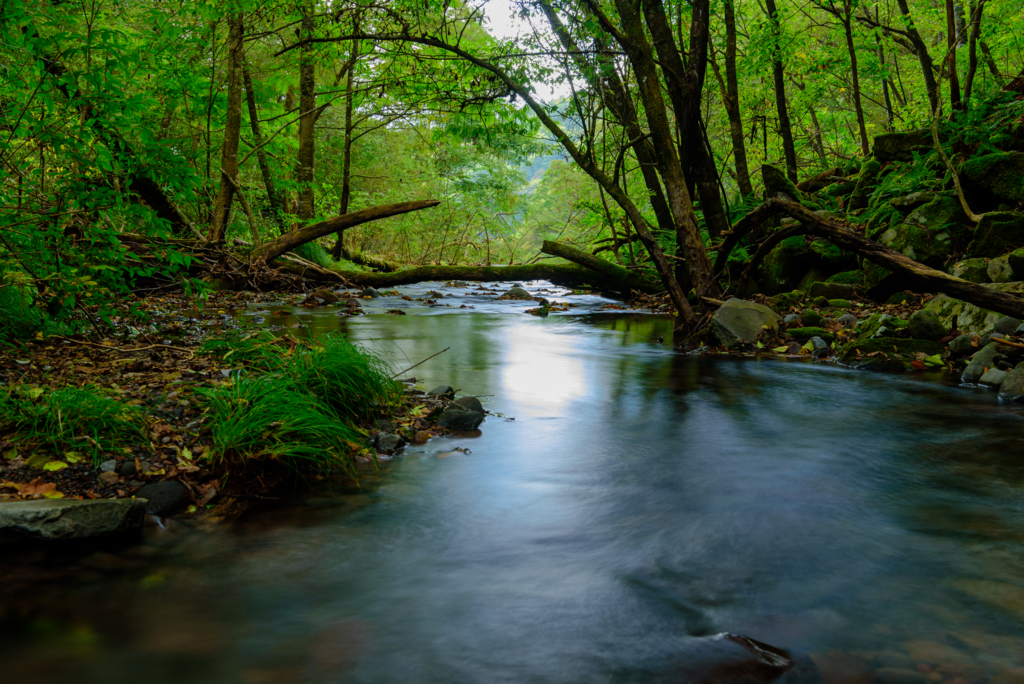 f:id:Kumamon:20161028230132j:plain