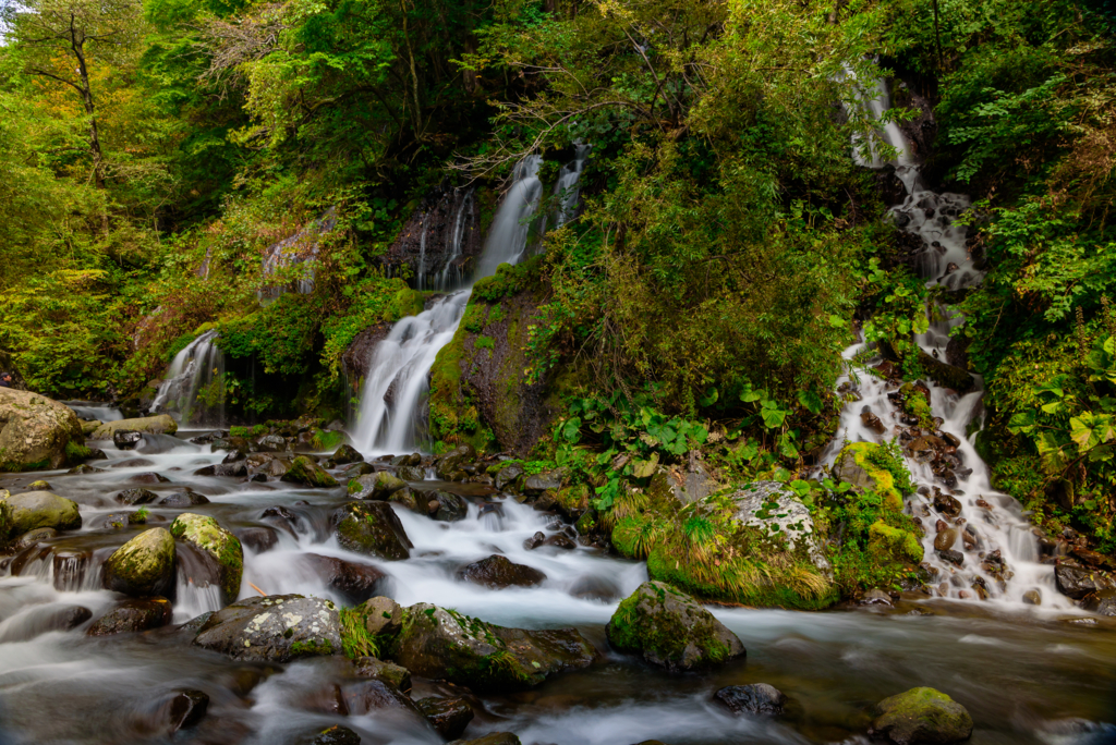 f:id:Kumamon:20161028232521j:plain