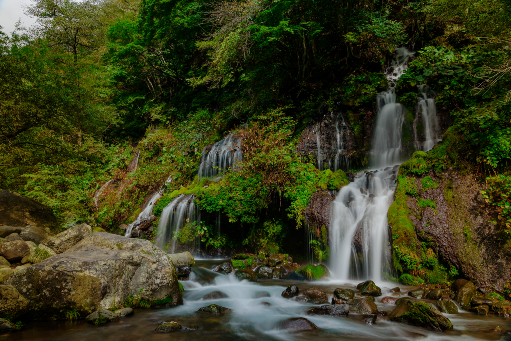 f:id:Kumamon:20161028233526j:plain