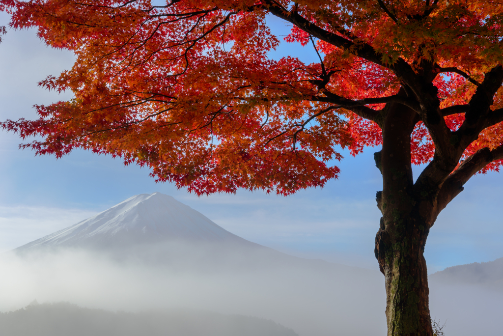 f:id:Kumamon:20161128234428j:plain