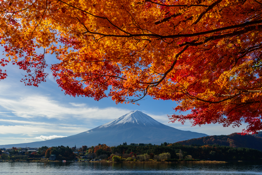 f:id:Kumamon:20161128235915j:plain