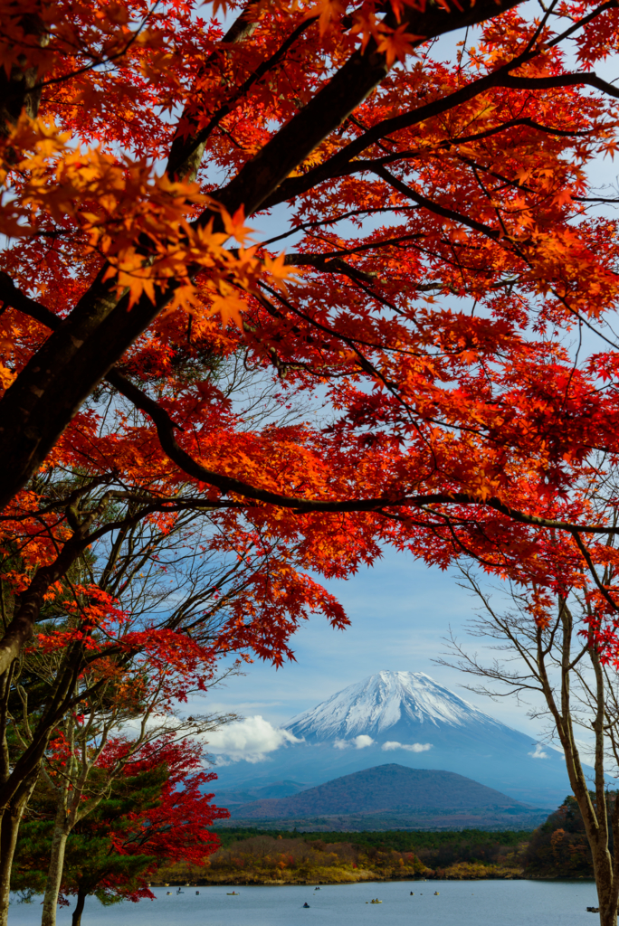 f:id:Kumamon:20161129003516j:plain