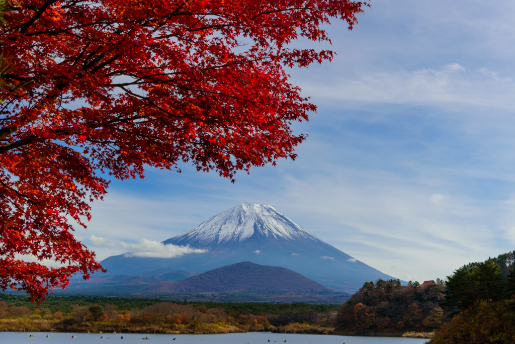 f:id:Kumamon:20161129004453j:plain