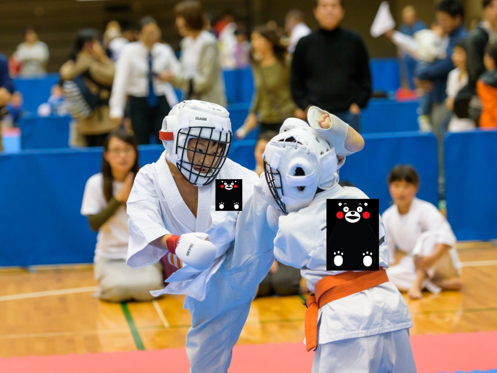 f:id:Kumamon:20161202231841j:plain