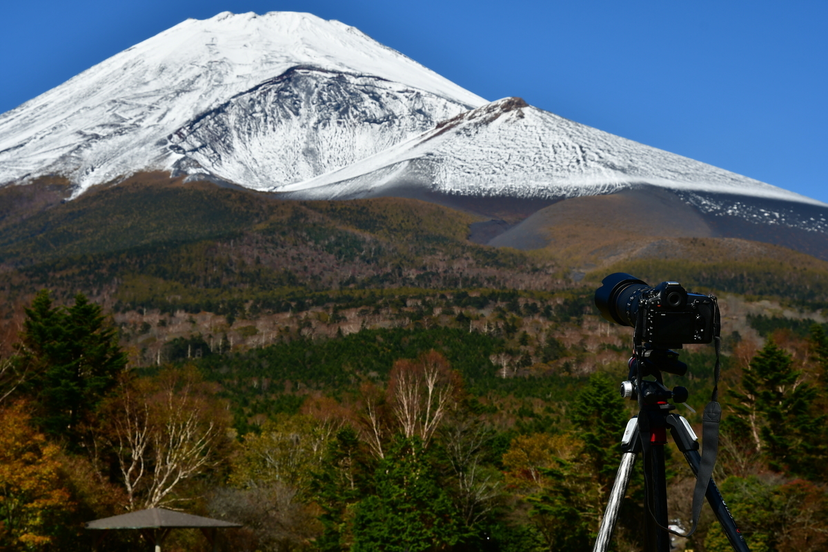f:id:Kumamon:20191103115942j:plain f:id:Kumamon:20191103115942j:plain