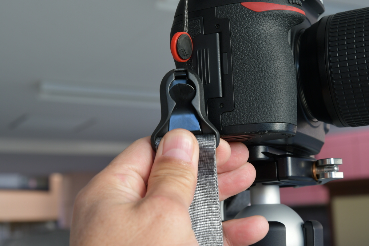 f:id:Kumamon:20191117233346j:plain