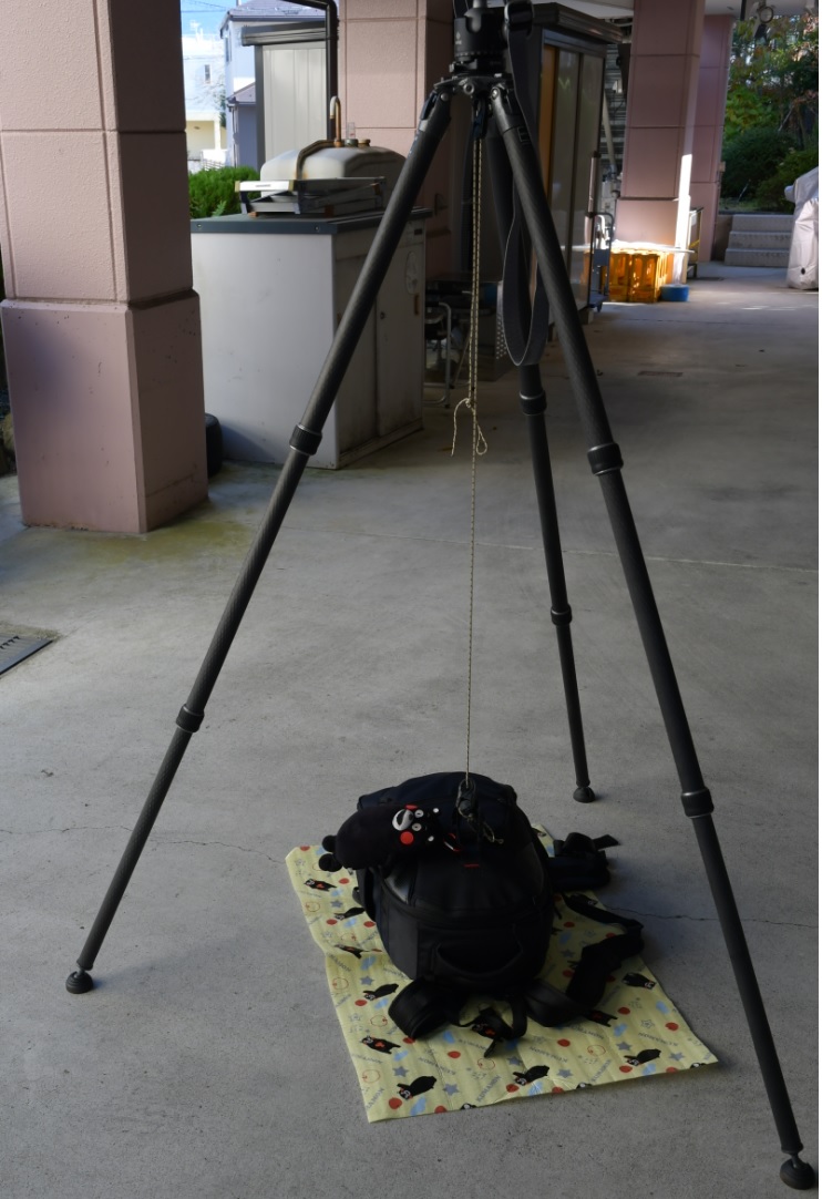 f:id:Kumamon:20191118223249j:plain