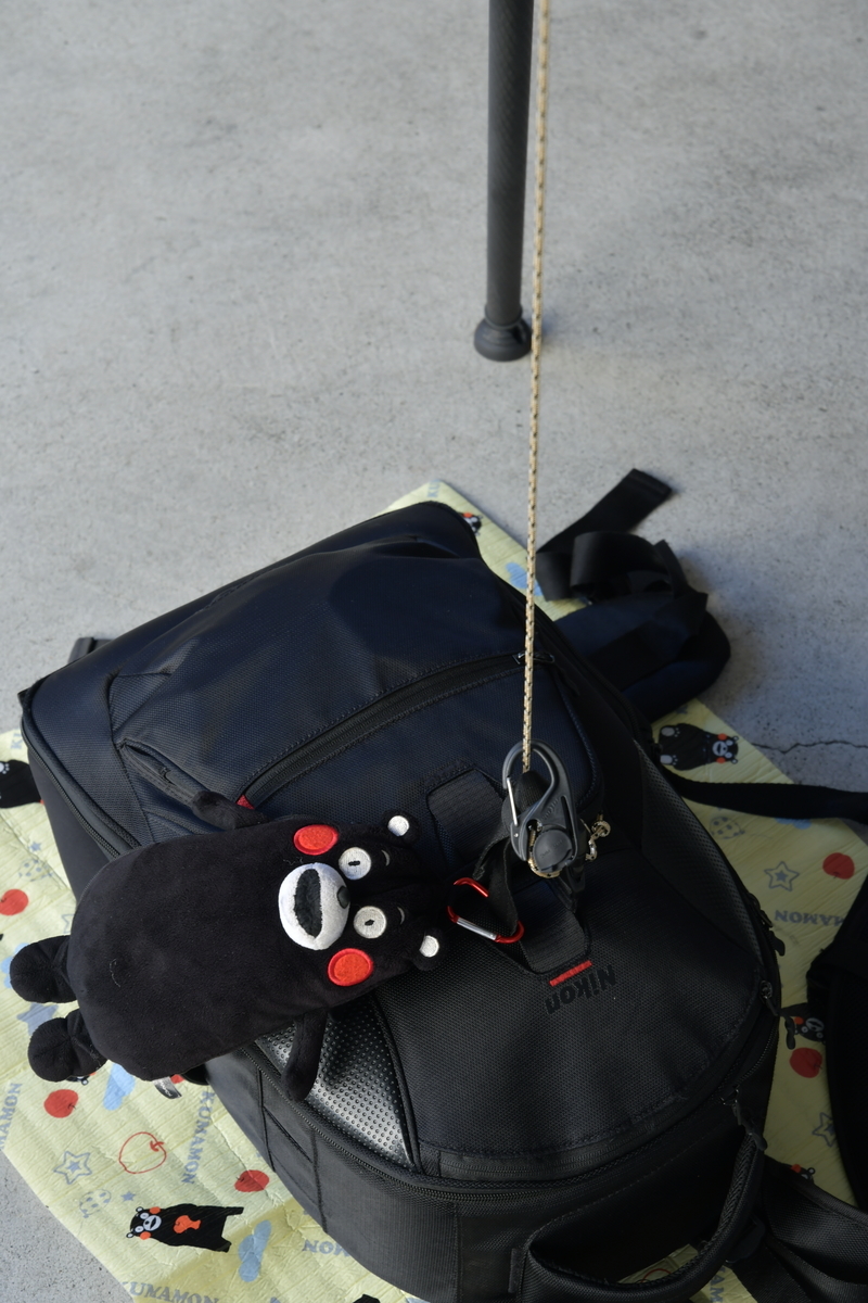 f:id:Kumamon:20191118223553j:plain