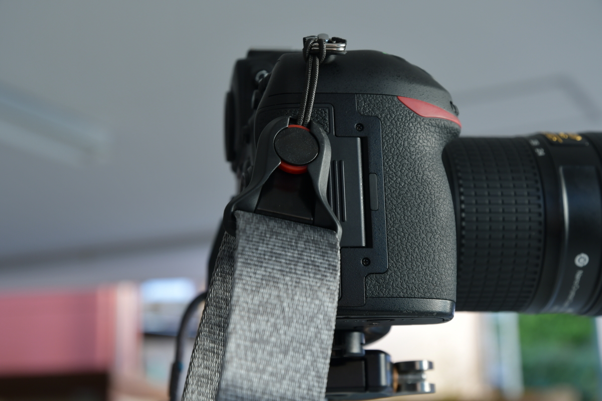 f:id:Kumamon:20191118232350j:plain