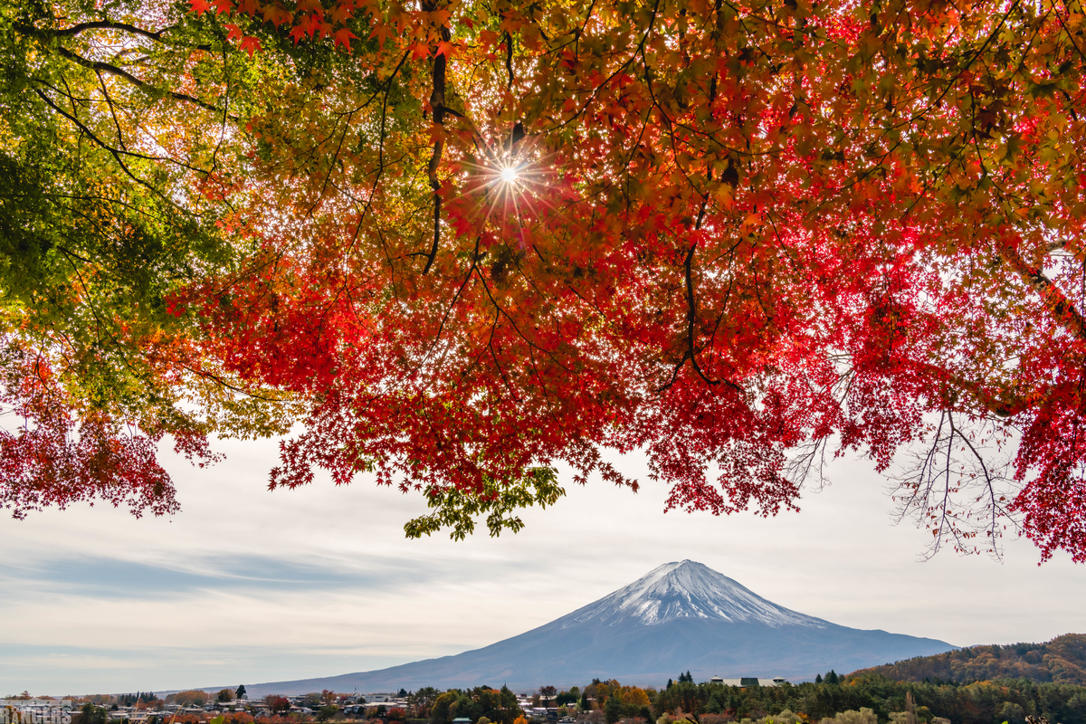 f:id:Kumamon:20191121210931j:plain f:id:Kumamon:20191121210931j:plain