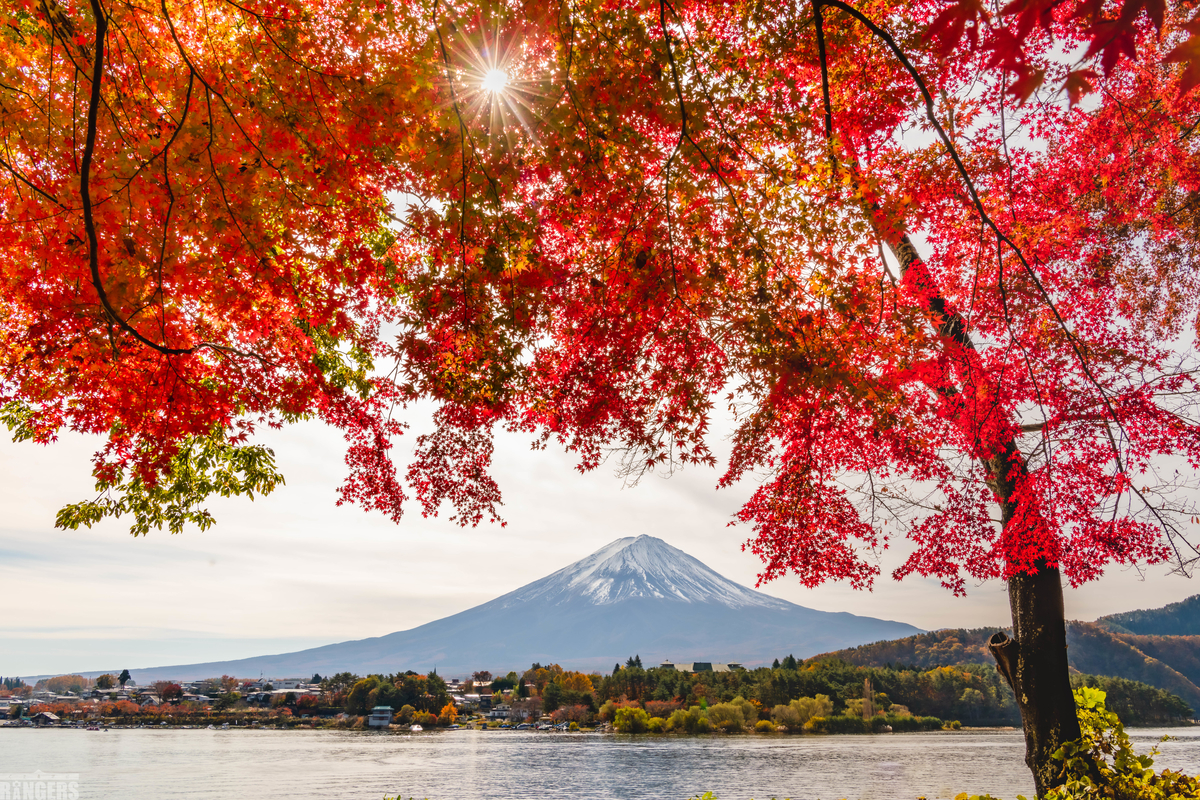 f:id:Kumamon:20191121211731j:plain f:id:Kumamon:20191121211731j:plain