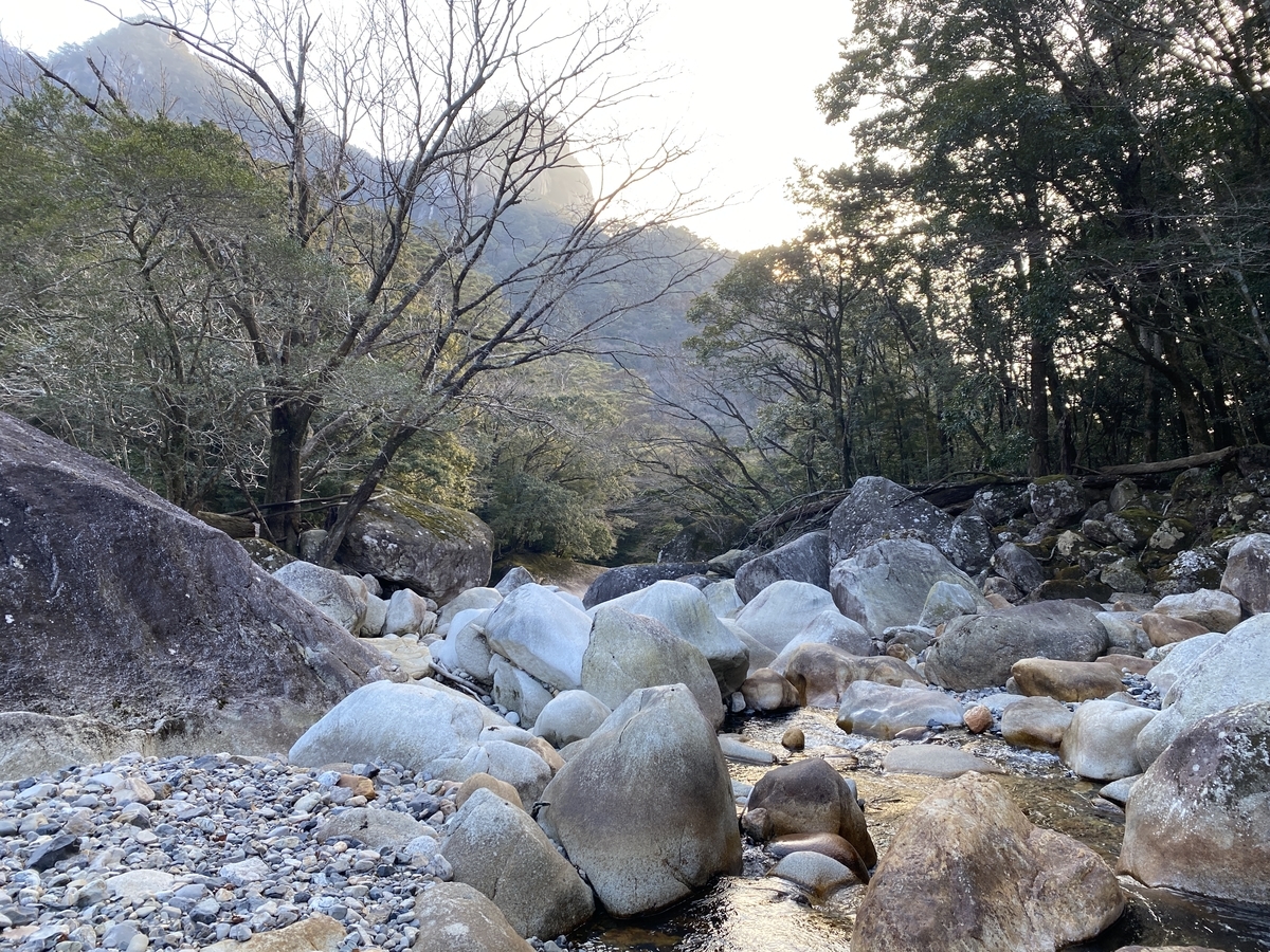 f:id:KumanomiFun:20220405183615j:plain