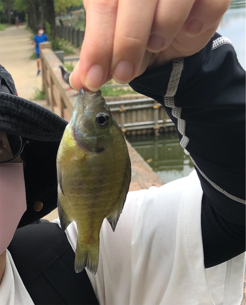f:id:Kumausa:20210831123642j:image