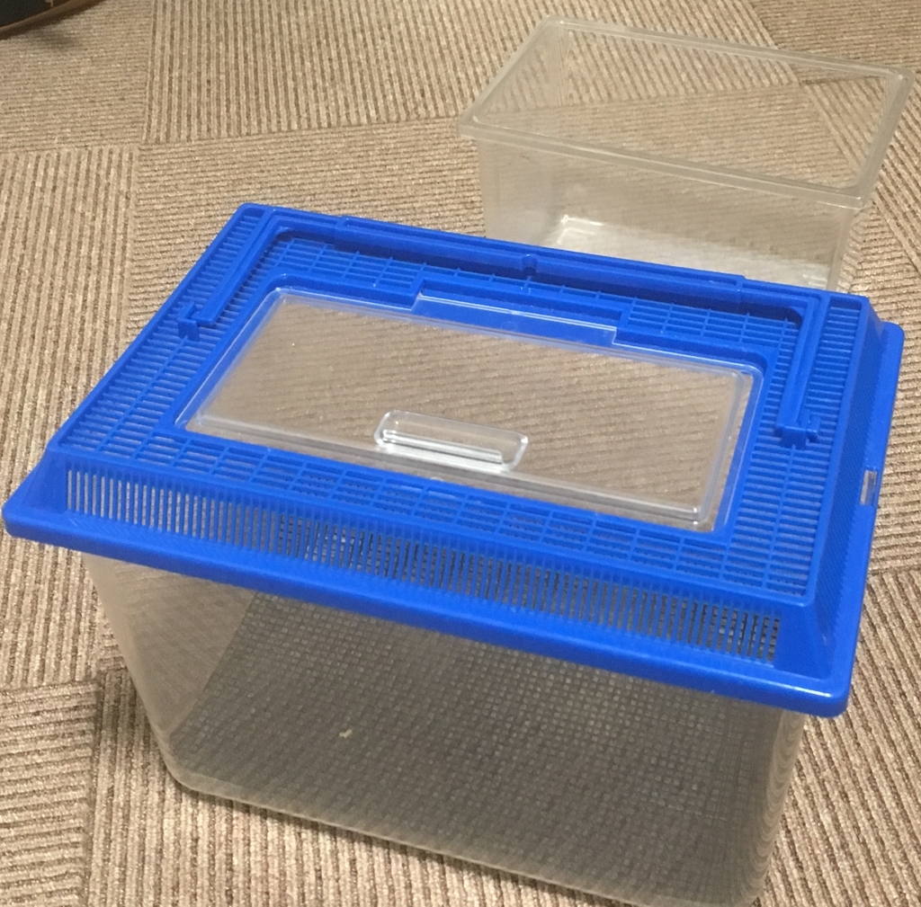 f:id:Kumi-everydayhard:20190225004504j:plain