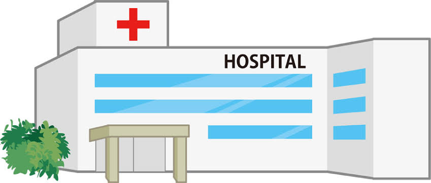 f:id:Kumi-everydayhard:20190226030757j:plain