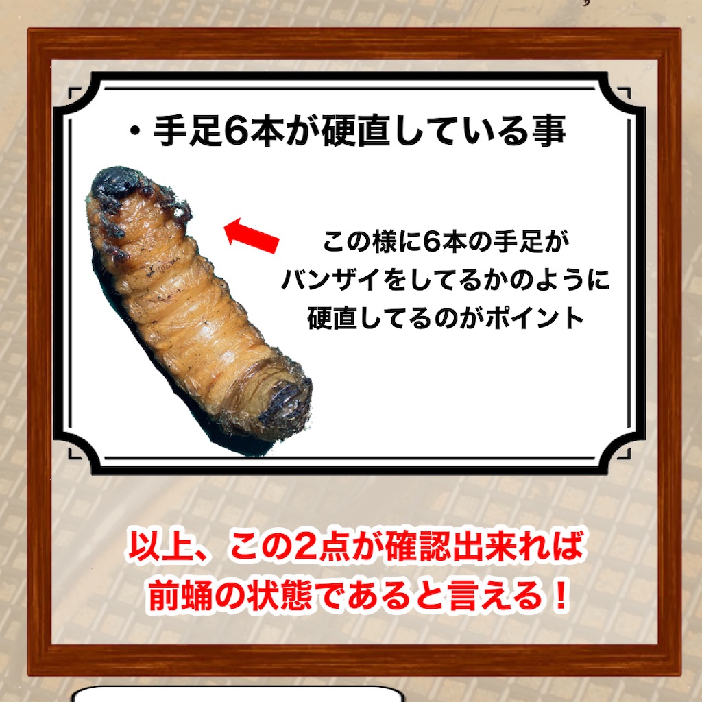 f:id:Kumi-everydayhard:20230802212047j:image