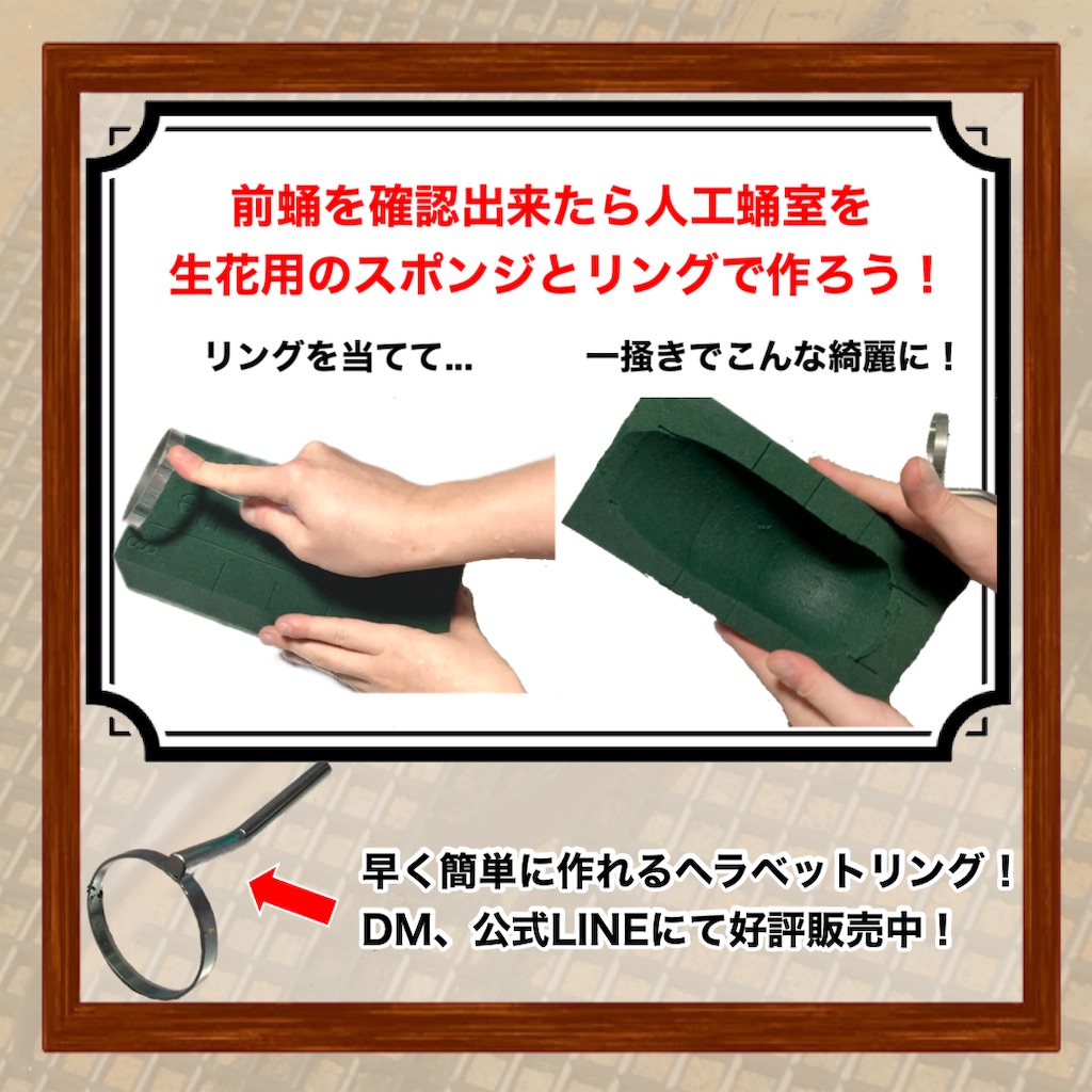 f:id:Kumi-everydayhard:20230802212302j:image