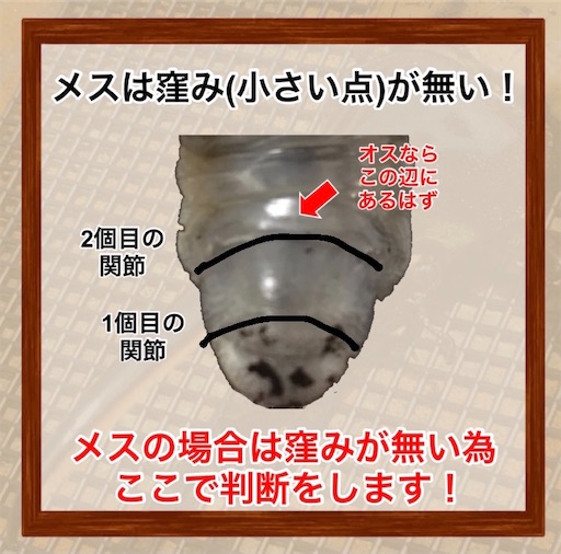 f:id:Kumi-everydayhard:20250306234501j:image