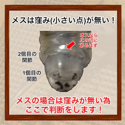 f:id:Kumi-everydayhard:20250306234514j:image