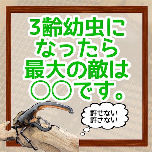 f:id:Kumi-everydayhard:20250310000741j:image