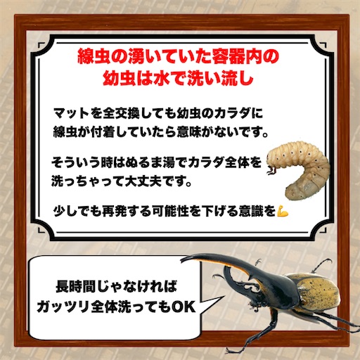 f:id:Kumi-everydayhard:20250316204726j:image