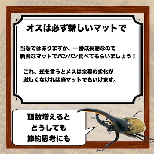 f:id:Kumi-everydayhard:20250316204737j:image