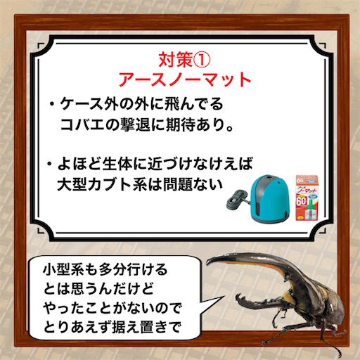 f:id:Kumi-everydayhard:20250325223838j:image