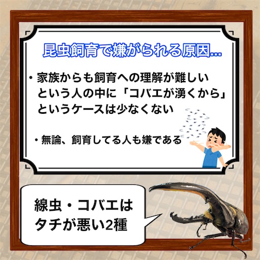 f:id:Kumi-everydayhard:20250325223842j:image