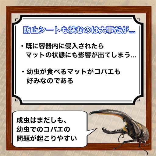 f:id:Kumi-everydayhard:20250325223846j:image