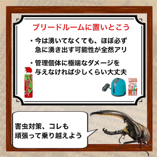 f:id:Kumi-everydayhard:20250325223859j:image