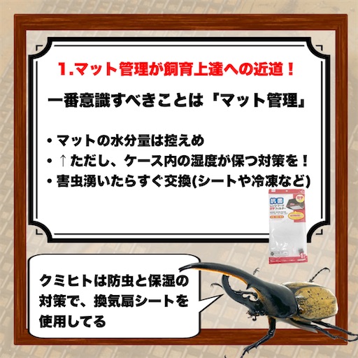 f:id:Kumi-everydayhard:20250325233804j:image