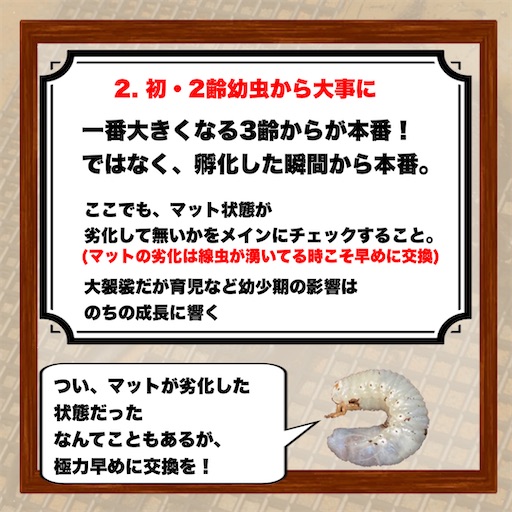 f:id:Kumi-everydayhard:20250325233807j:image