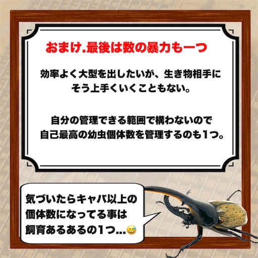 f:id:Kumi-everydayhard:20250325233814j:image