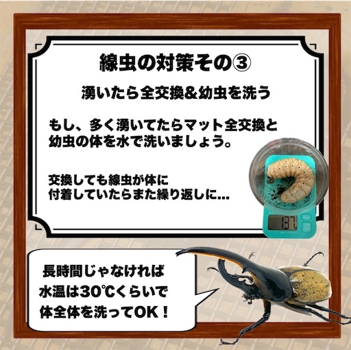 f:id:Kumi-everydayhard:20250409011546j:image