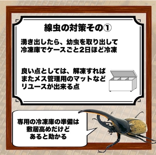 f:id:Kumi-everydayhard:20250409011553j:image