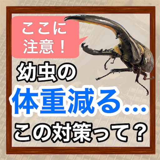 f:id:Kumi-everydayhard:20250418003359j:image