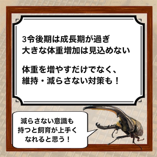 f:id:Kumi-everydayhard:20250418003406j:image