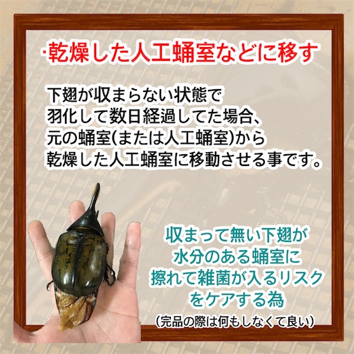 f:id:Kumi-everydayhard:20250509001900j:image