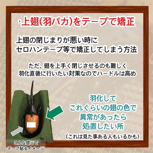 f:id:Kumi-everydayhard:20250509001904j:image