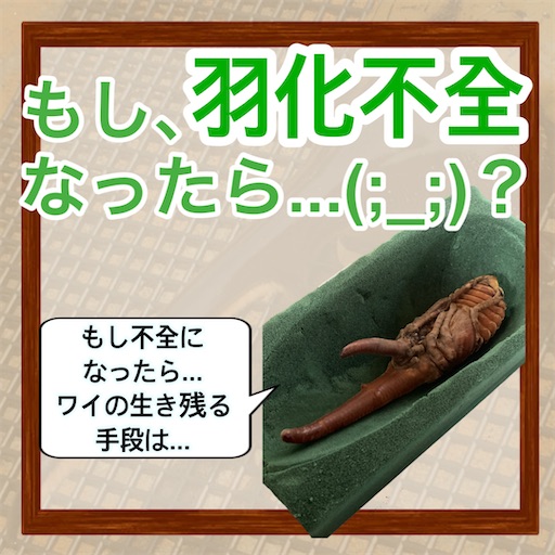 f:id:Kumi-everydayhard:20250509001908j:image