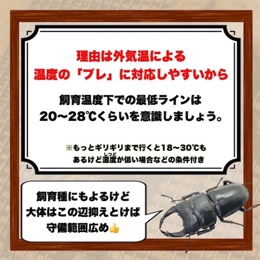 f:id:Kumi-everydayhard:20251130030802j:image