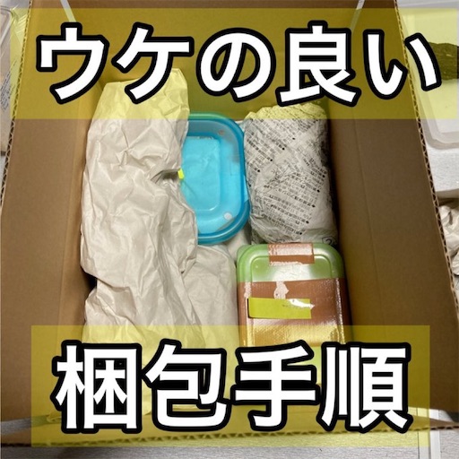f:id:Kumi-everydayhard:20251130031409j:image