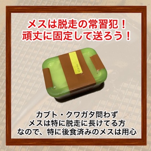 f:id:Kumi-everydayhard:20251130031412j:image