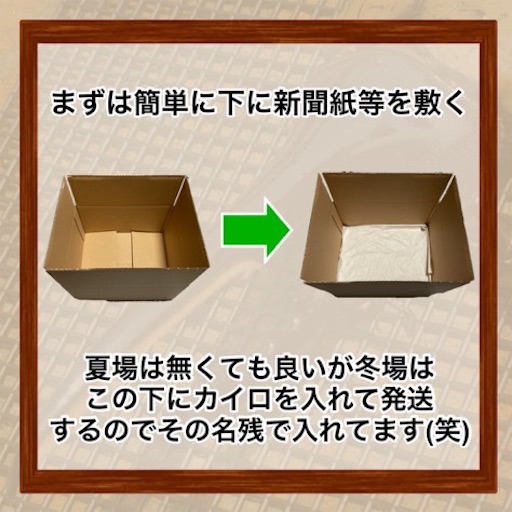 f:id:Kumi-everydayhard:20251130031417j:image